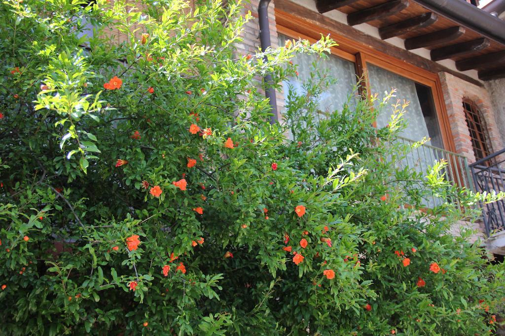 B&B Il Melograno Del Garda Padenghe sul Garda Zewnętrze zdjęcie