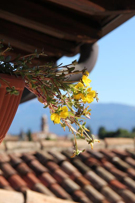 B&B Il Melograno Del Garda Padenghe sul Garda Zewnętrze zdjęcie